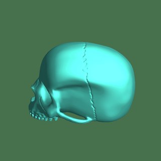 aureola humano cráneo azúcar planeta Alejandro 3d modelos descargar crealidad nube caracteres 3d print model - Mito3D