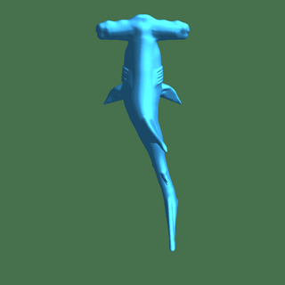 hammerhead shark 2 Fishes 3d print model - Mito3D