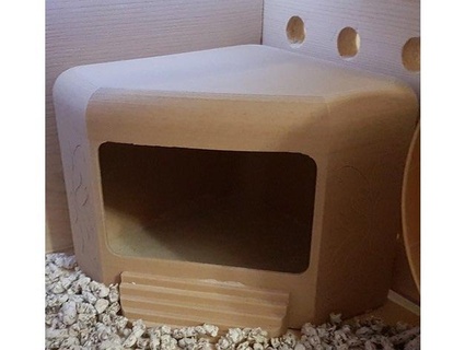 hamster poeira banho 3d modelos baixar crialidade nuvem animais 3d print model - Mito3D