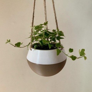 hanging planter Nature & Plants 3d print model - Mito3D