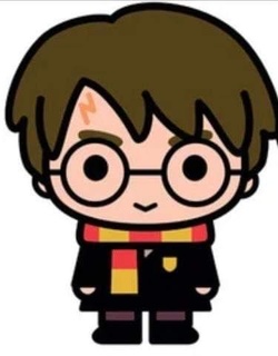 harry potter Others 3d print model - Mito3D
