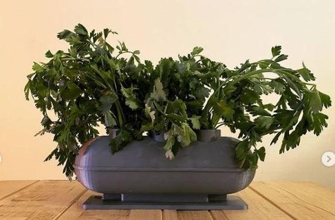 herbs pot Nature & Plants 3d print model - Mito3D