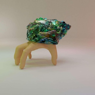 eremita dedo caranguejo animais 3d print model - Mito3D