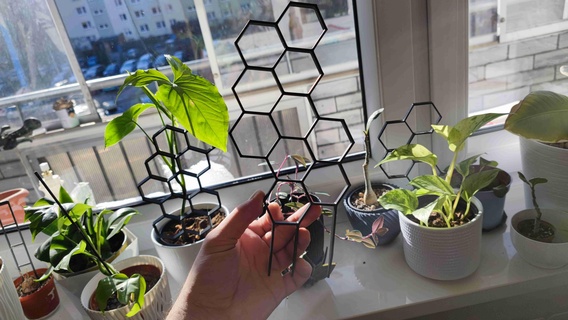 sechseckig Pflanze Unterstützung schnell drucken 3d Modelle download Realität Wolke Blumen 3d print model - Mito3D