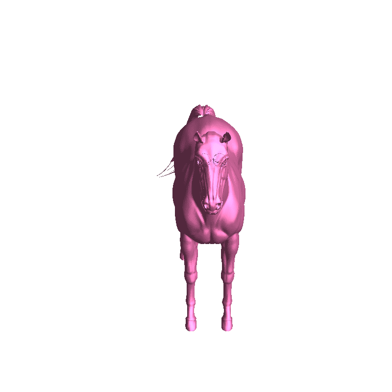 horse thinvers Mammal 3D print model - Mito3D