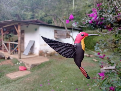 hummingbird hang jewelry Animals 3d print model - Mito3D