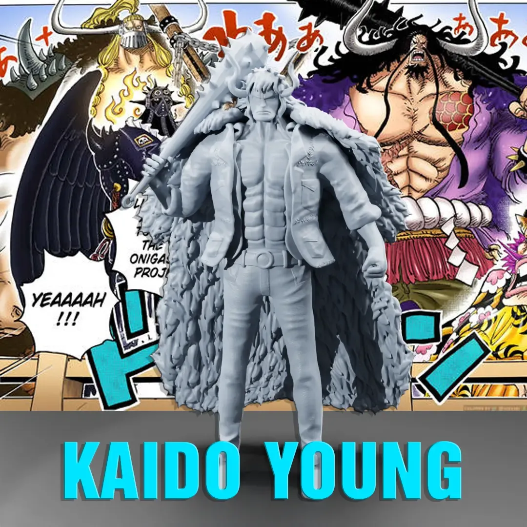 kaido joven yonko trozo 3d impresión modelos descargar crealidad nube 3D print model - Mito3D