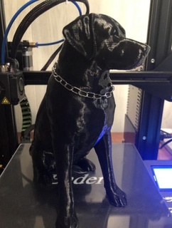 Labrador perro animales 3d print model - Mito3D