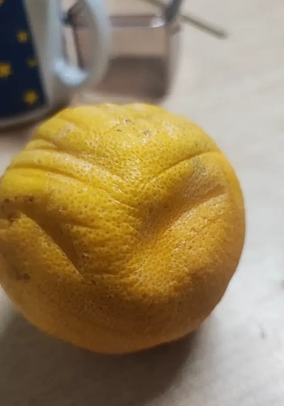 laranja 3d modelos baixar crialidade nuvem 3d print model - Mito3D