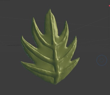leaf Nature & Plants 3d print model - Mito3D