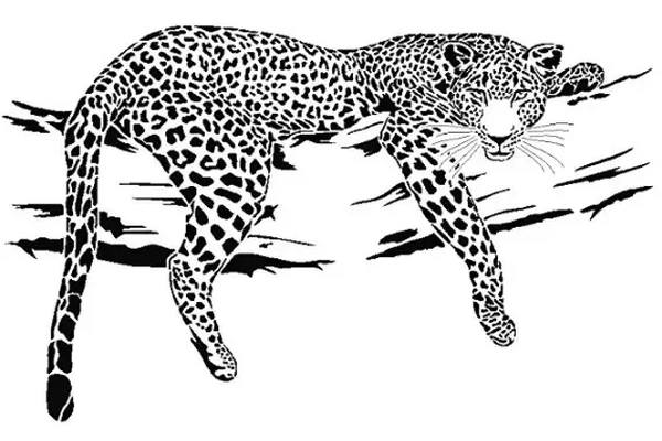 leopardo stencil 3d modelli scarica creality nube 3d print model - Mito3D