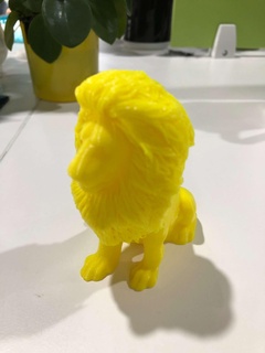 león cabello mamífero 3d print model - Mito3D