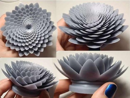 loto flor res naturaleza plantas 3d print model - Mito3D