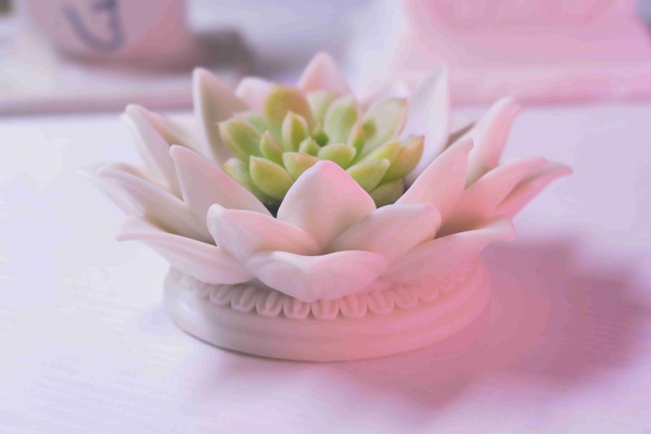 lotus pot succulents 3d models download creality cloud home decor 3d print model - Mito3D