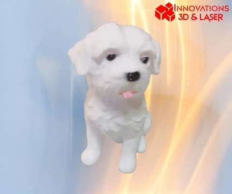 maltese cane bichon 3d modelli scarica creality nube 3d print model - Mito3D