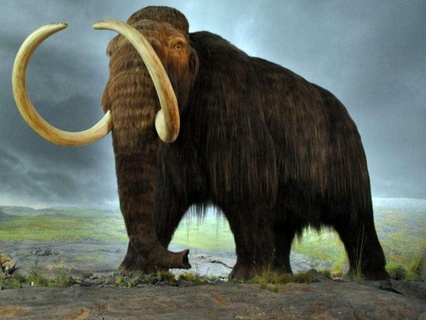 mamut fil hayvanlar 3d print model - Mito3D