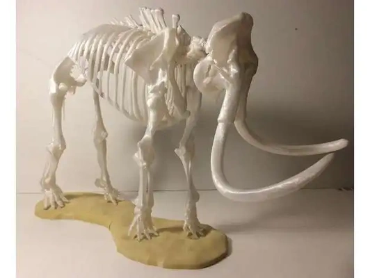 mamute esqueleto 3d modelos baixar crialidade nuvem biologia médico 3d print model - Mito3D