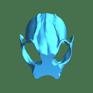 mask up 2 Others 3d print model - Mito3D