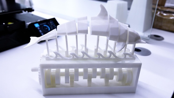 mechanisch Delfin Rätsel Brain teasers 3d print model - Mito3D