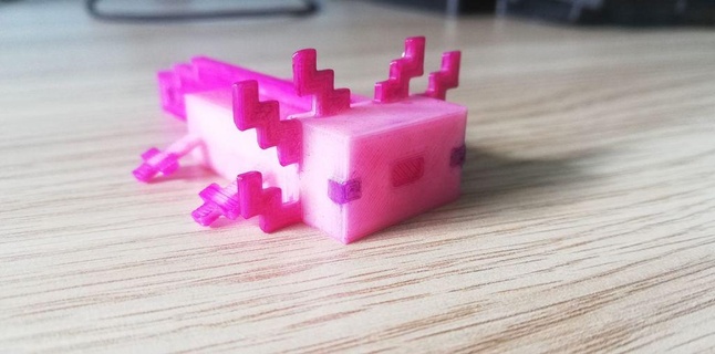 Minecraft axolotl 117 3d print model - Mito3D