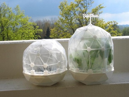 mini estufa cúpula natureza plantas 3d print model - Mito3D