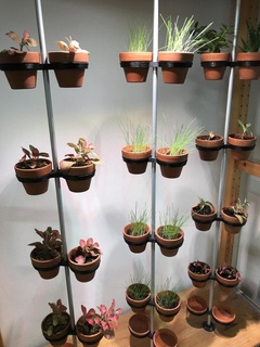 mini modular vertical garden Nature & Plants 3d print model - Mito3D