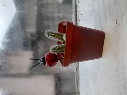 mini maceta planta plántulas flores 3d print model - Mito3D
