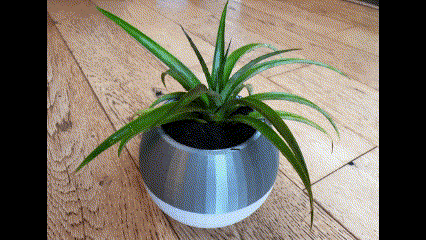 moderne arrosage évacuation plante pot planteur fleurs 3d print model - Mito3D