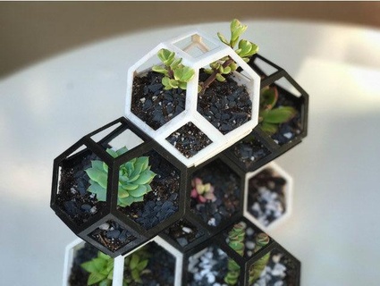 modular geométrico plantador naturaleza plantas 3d print model - Mito3D
