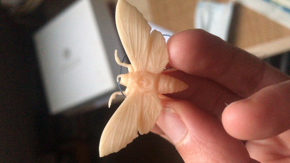 papillon nuit bijoux pendentif insectes 3d print model - Mito3D
