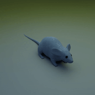 Souris mammifère 3d print model - Mito3D