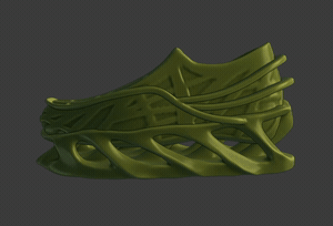 natura tênis sapato sapatos acessórios 3d print model - Mito3D