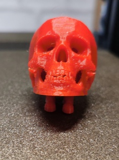 neil e skull Others 3d print model - Mito3D