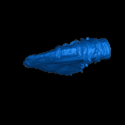 orque 3d modèles télécharger créalité nuage 3d print model - Mito3D