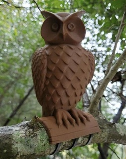 owl Animals 3d print model - Mito3D