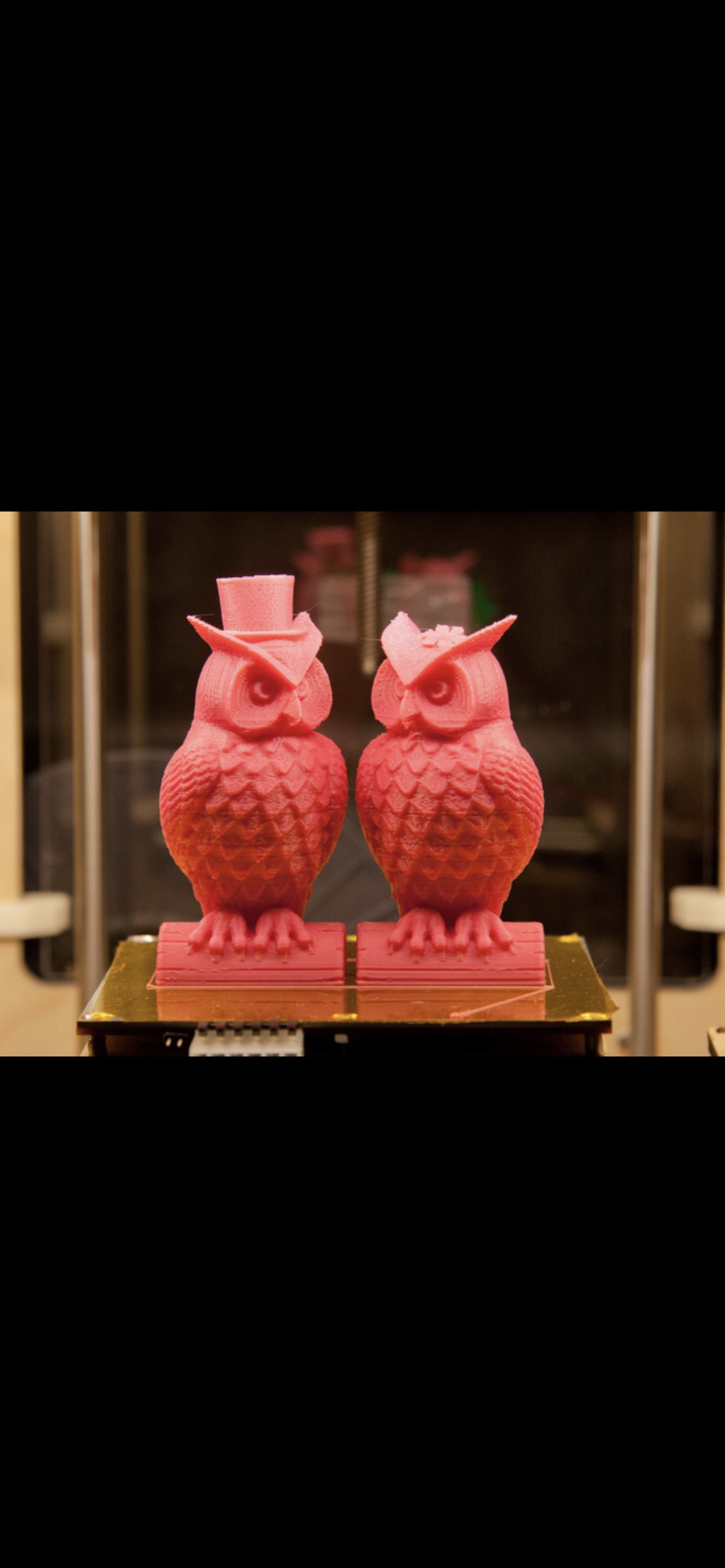baykuş çift 3d modeller indir Creality bulut memeli 3D print model - Mito3D