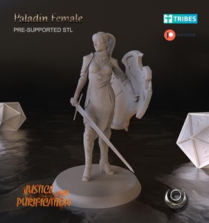paladín hembra mujer 3d print model - Mito3D