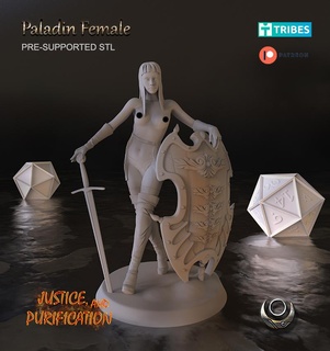 paladín hembra mujer 3d print model - Mito3D