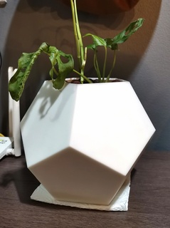 penta pot 3d print model - Mito3D