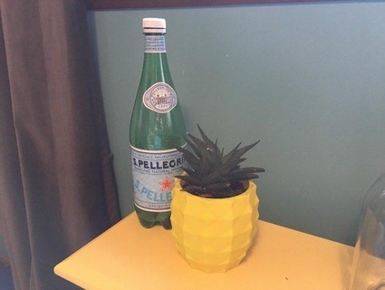 pineapple planter Nature & Plants 3d print model - Mito3D