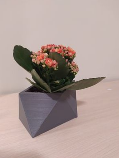 plant pot 1 Cups & Mugs 3d print model - Mito3D