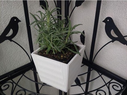 planter Household 3d print model - Mito3D