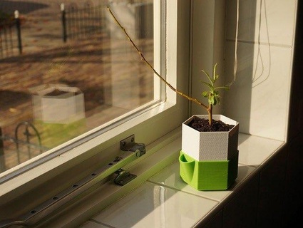 plantador reservorio naturaleza plantas 3d print model - Mito3D