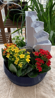 pond plant pot self-watering 3d models download creality cloud Others 3d print model - Mito3D