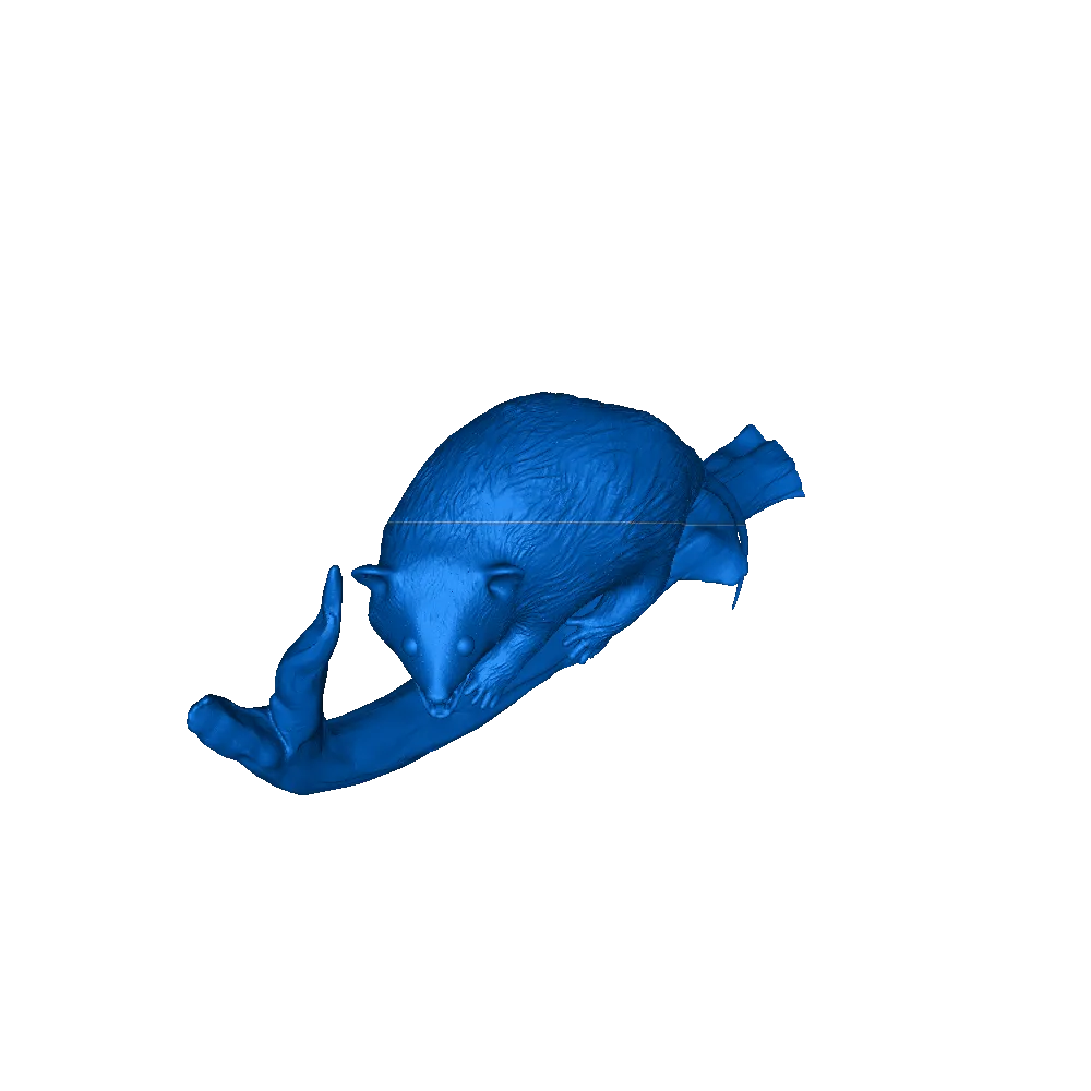 opossum 3d modelli scarica creality nube 3D print model - Mito3D