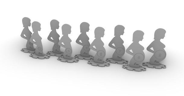 pregnancy evolution Home Decor 3d print model - Mito3D