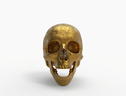 punk skeleton-1 Others 3d print model - Mito3D