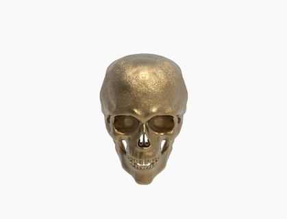 punk skeleton 3 3d print model - Mito3D