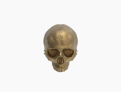 punk skeleton 4 3d print model - Mito3D