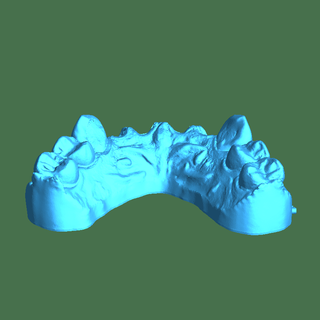 rafael ferro modelo alves biología médico 3d print model - Mito3D